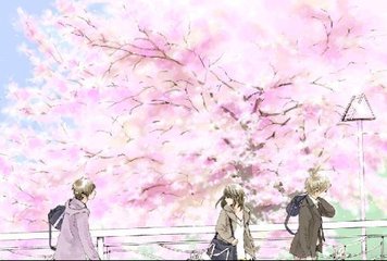 旦特殊精油按摩全身